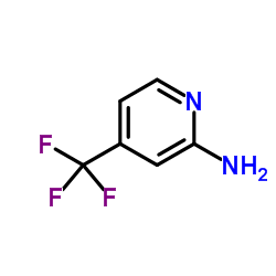 2-Amino-4-(trifluoromethyl)pyridine_106447-97-6