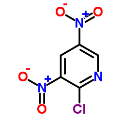 2-Chloro-3,5-dinitropyridine_2578-45-2
