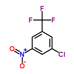 3-Chloro-5-nitrobenzotrifluoride_401-93-4