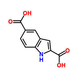 1H-indole-2,5-dicarboxylic acid_117140-77-9