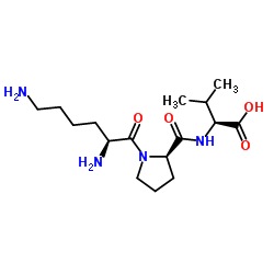 (S)-2-((R)-1-((S)-2,6-diaminohexanoyl)pyrrolidine-2-carboxamido)-3-methylbutanoic acid_125905-17-1