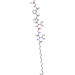 Palmitoyl Hexapeptide-12_171263-26-6