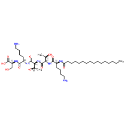 Palmitoyl pentapeptide-4_214047-00-4