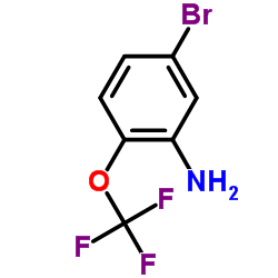 3-Amino-4-(trifluoromethoxy)BromoBenzene_886762-08-9
