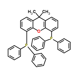 Dimethylbisdiphenylphosphinoxanthene_161265-03-8