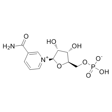 β-Nicotinamide mononucleotide_1094-61-7