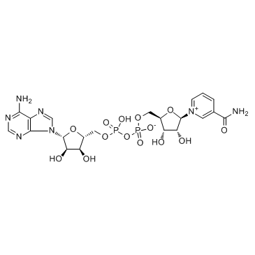 beta-Diphosphopyridine nucleotide_53-84-9