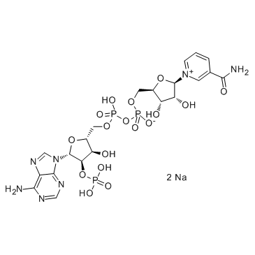 Triphosphopyridine nucleotide disodium salt_24292-60-2