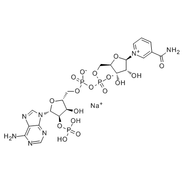 β-NADP-sodium salt_1184-16-3