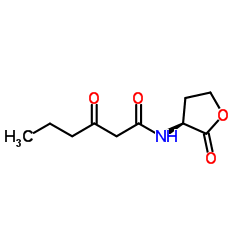N-(Ketocaproyl)-D,L-homoserine lactone_76924-95-3