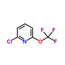 2-Chloro-6-(trifluoromethoxy)pyridine_1221171-70-5