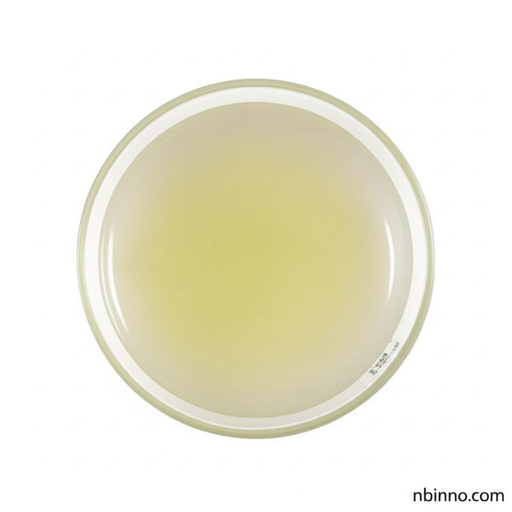Acrylic Acid Printing Thickener KR-722-5