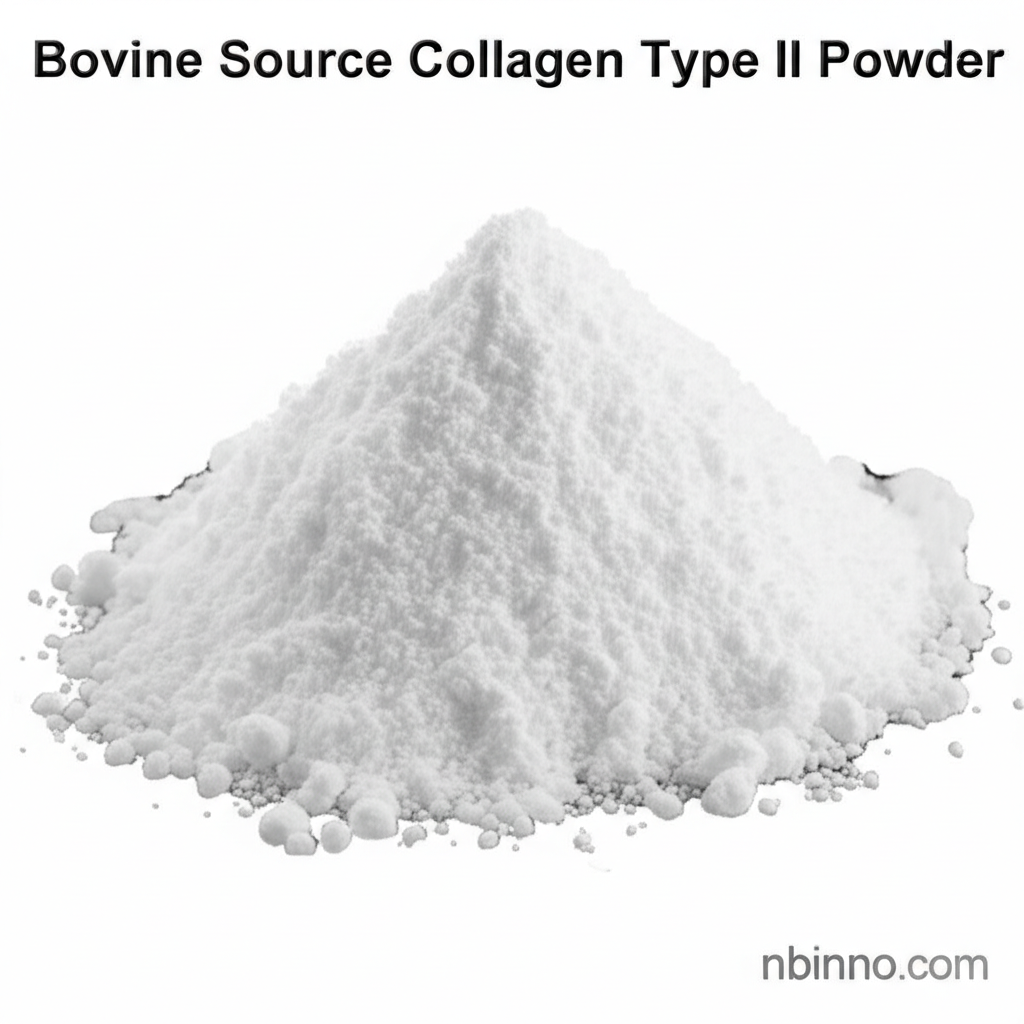 Bovine Source Collagen Type II Powder