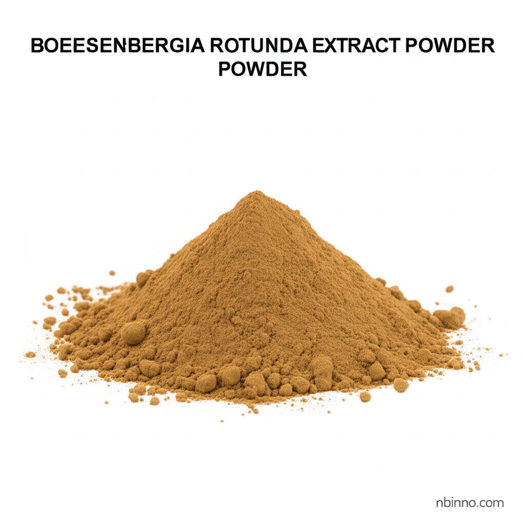 Boesenbergia Rotunda Extract Powder