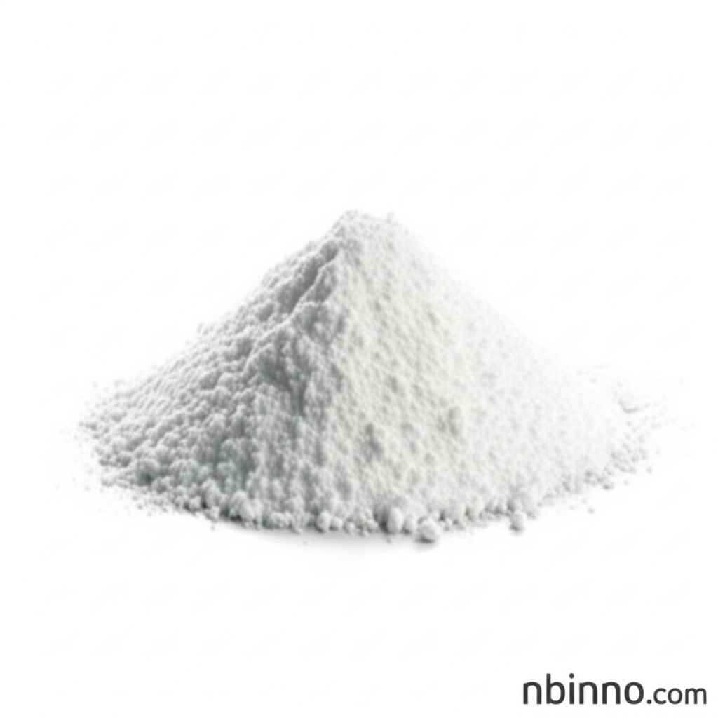Chitosan Powder