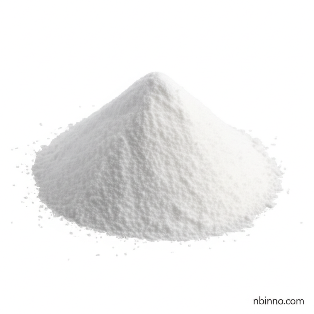 Chitosan Powder