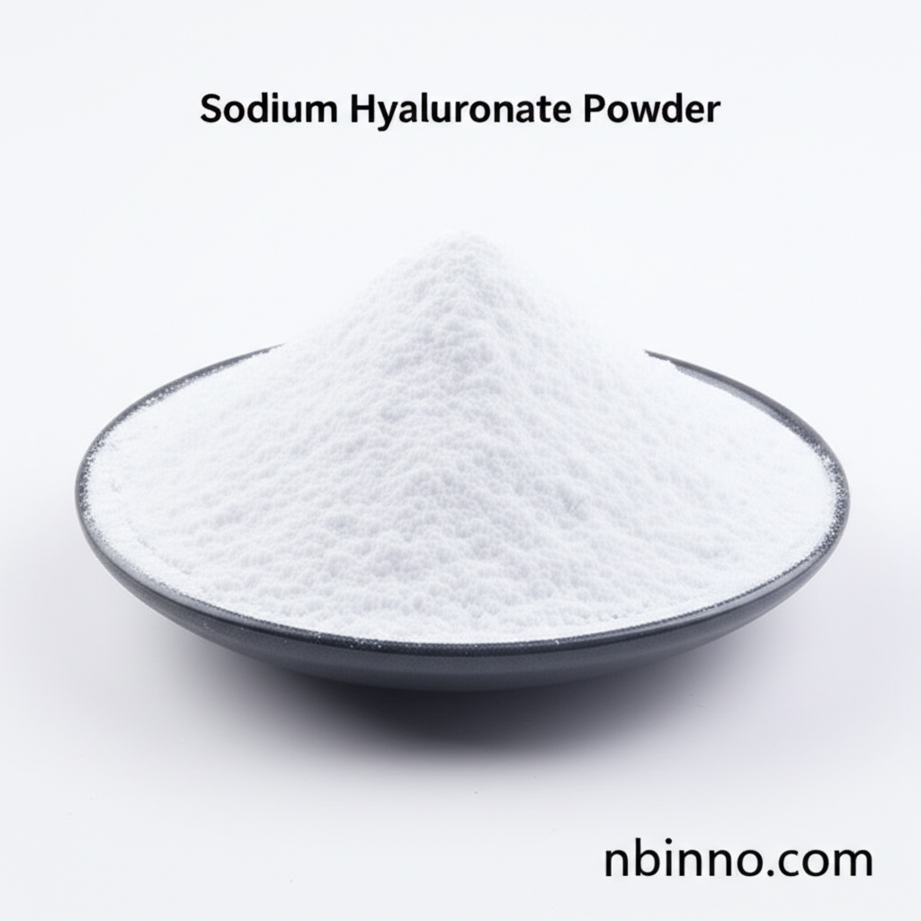 Sodium Hyaluronate Powder