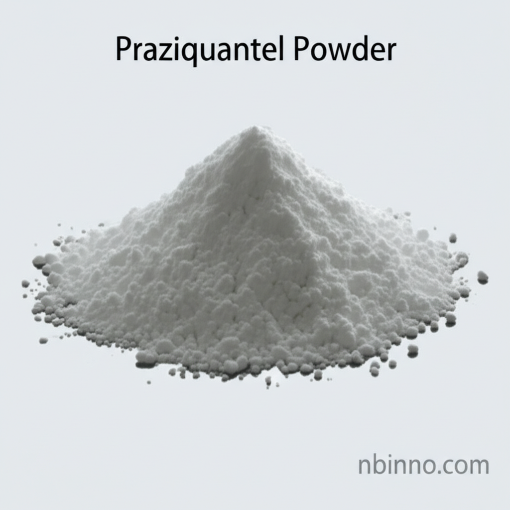 Praziquantel Powder