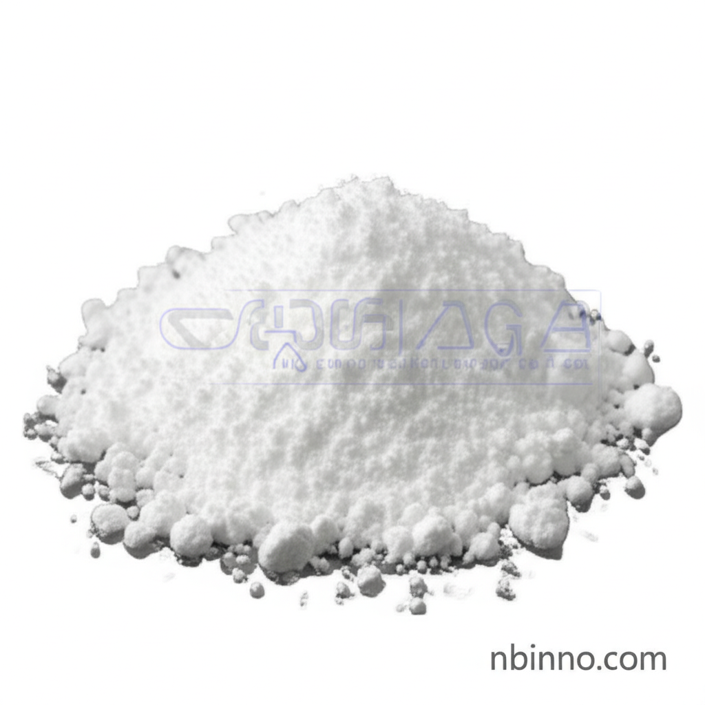 Hydroxypropyl Methyl Cellulose