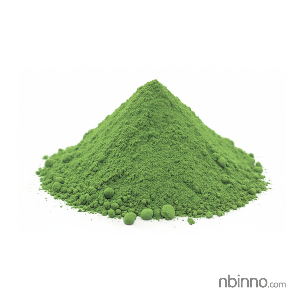 Clino-X Sand Water Purification System