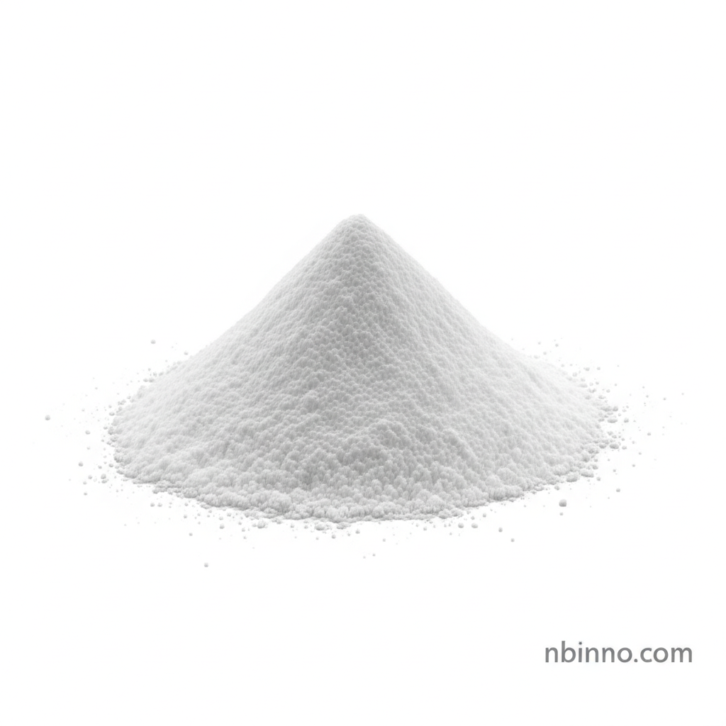N-tert-butyl-3-chloropropane-1-sulfonamide