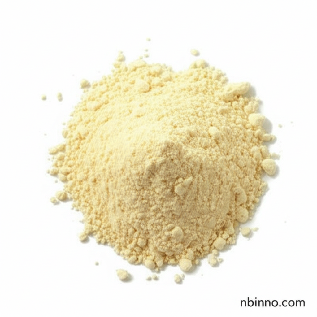 Beta-Galactosidase