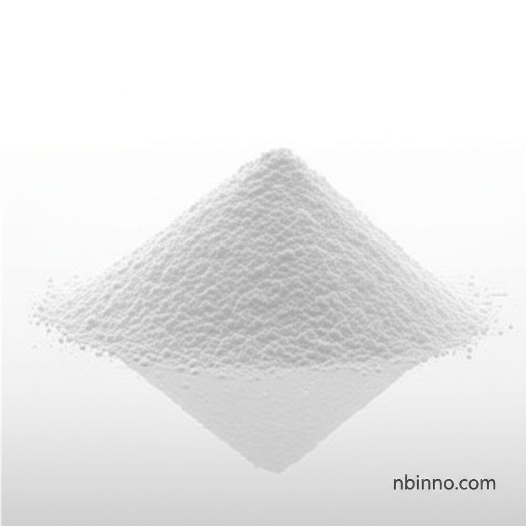 Stearic Acid Amide Powder