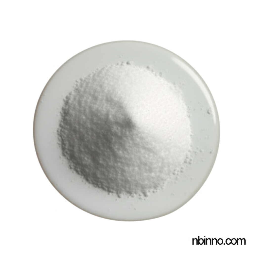 N-Phenyl isobutyloylacetamide