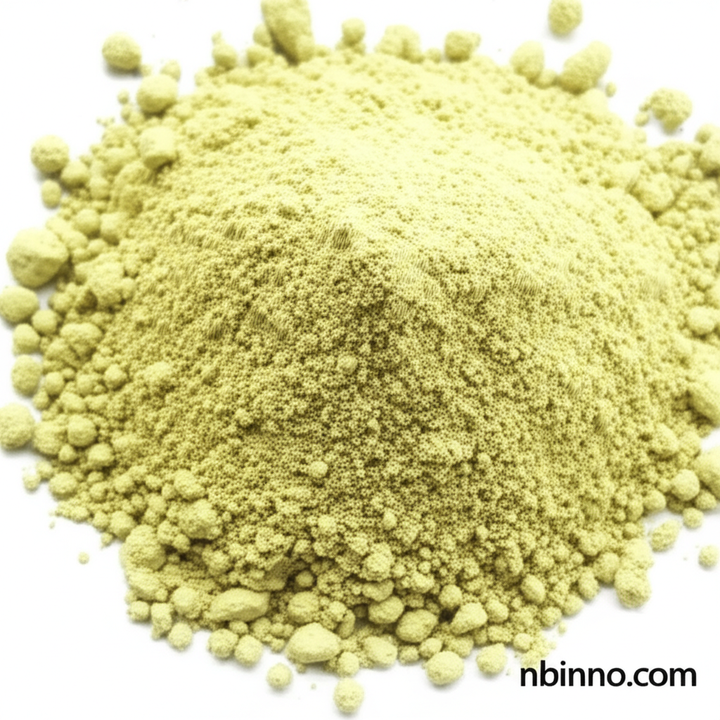 Echinacea Purpurea Extract Powder