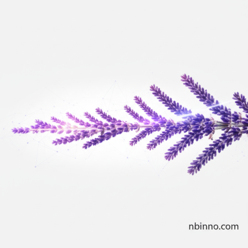 Lavender Essential Oil