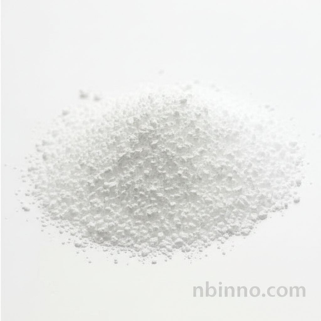 Bio-Based Silica EV2200