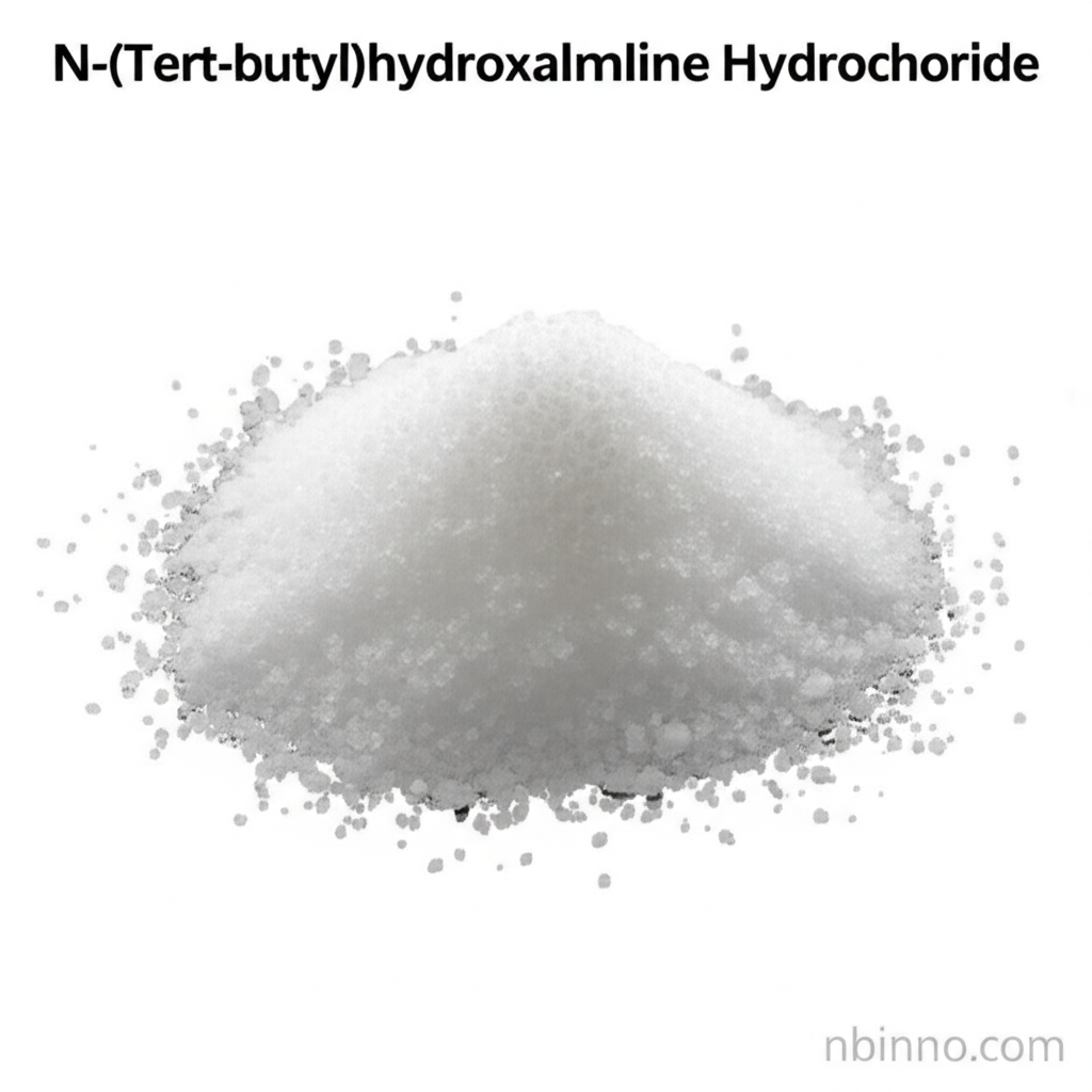N-(Tert-butyl)hydroxylamine Hydrochloride