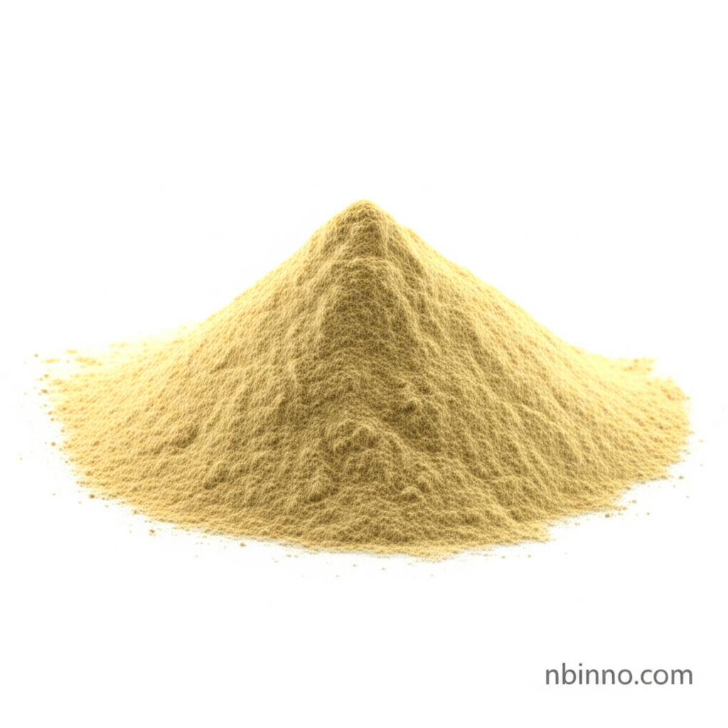 Yeast Extract Powder