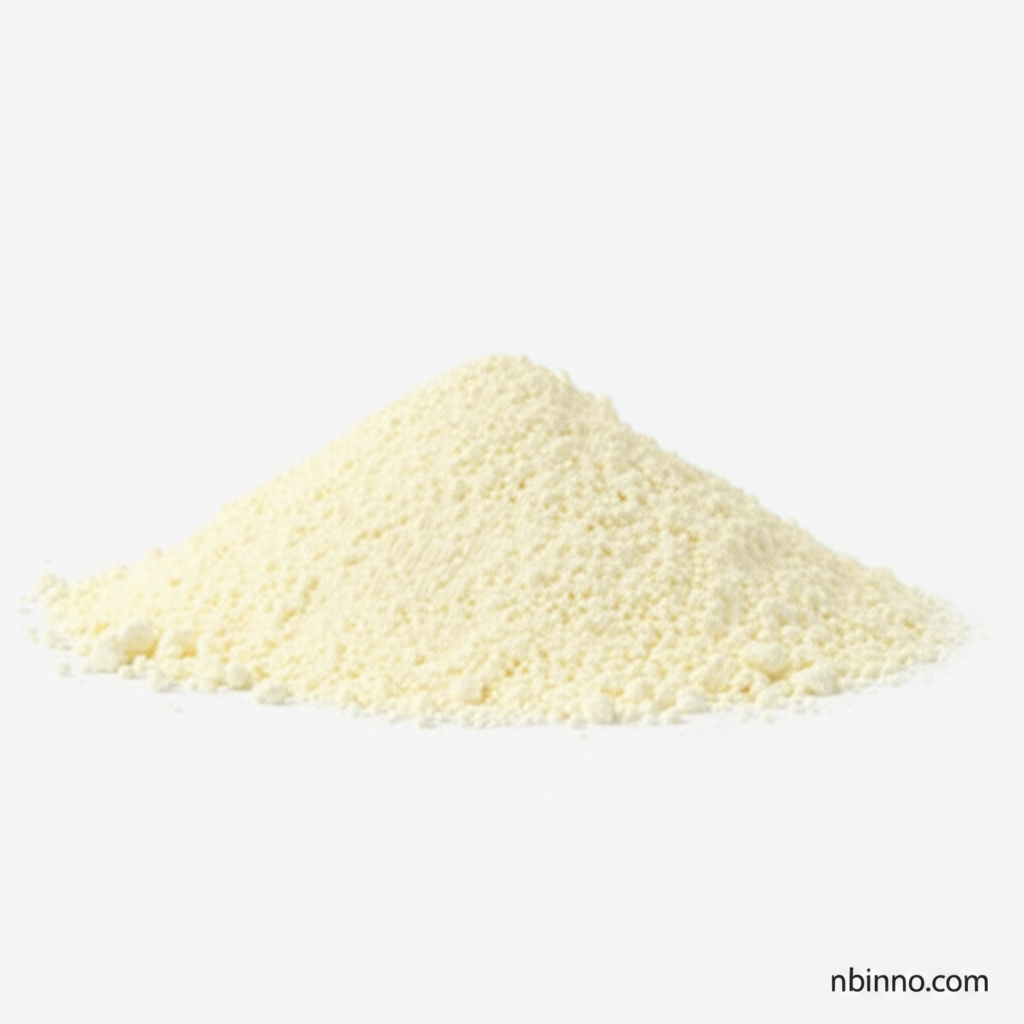 Casein Protein Powder