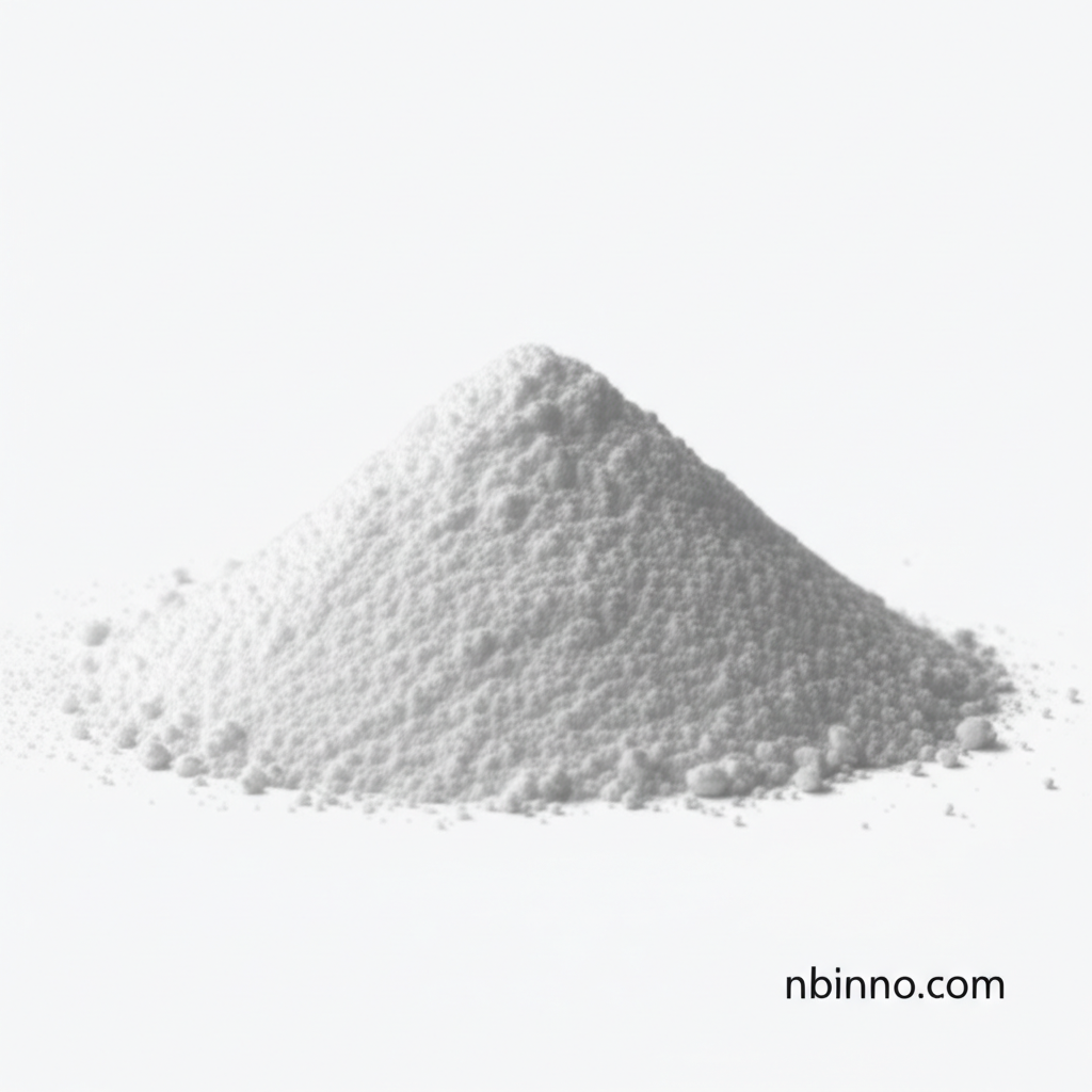 2'-Chloroacetoacetanilide