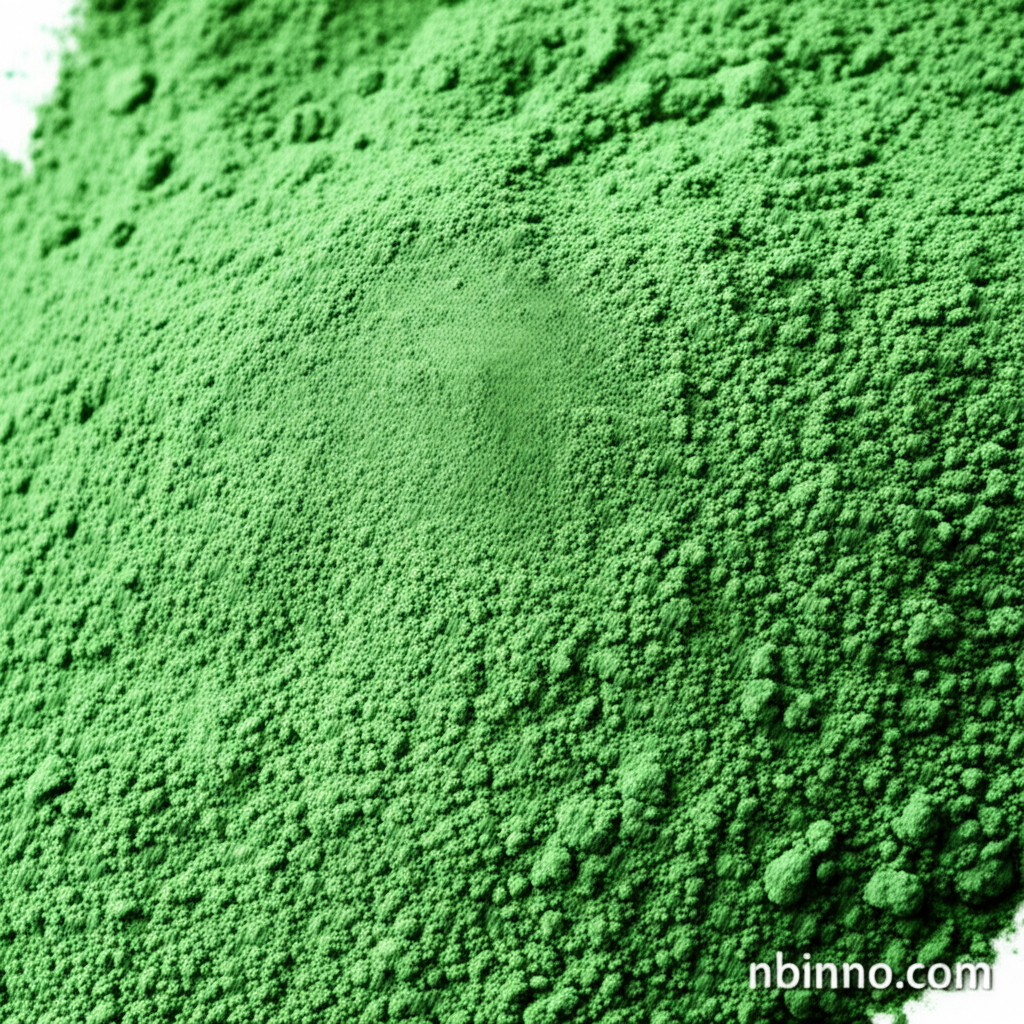 Clinoptilolite Zeolite Powder