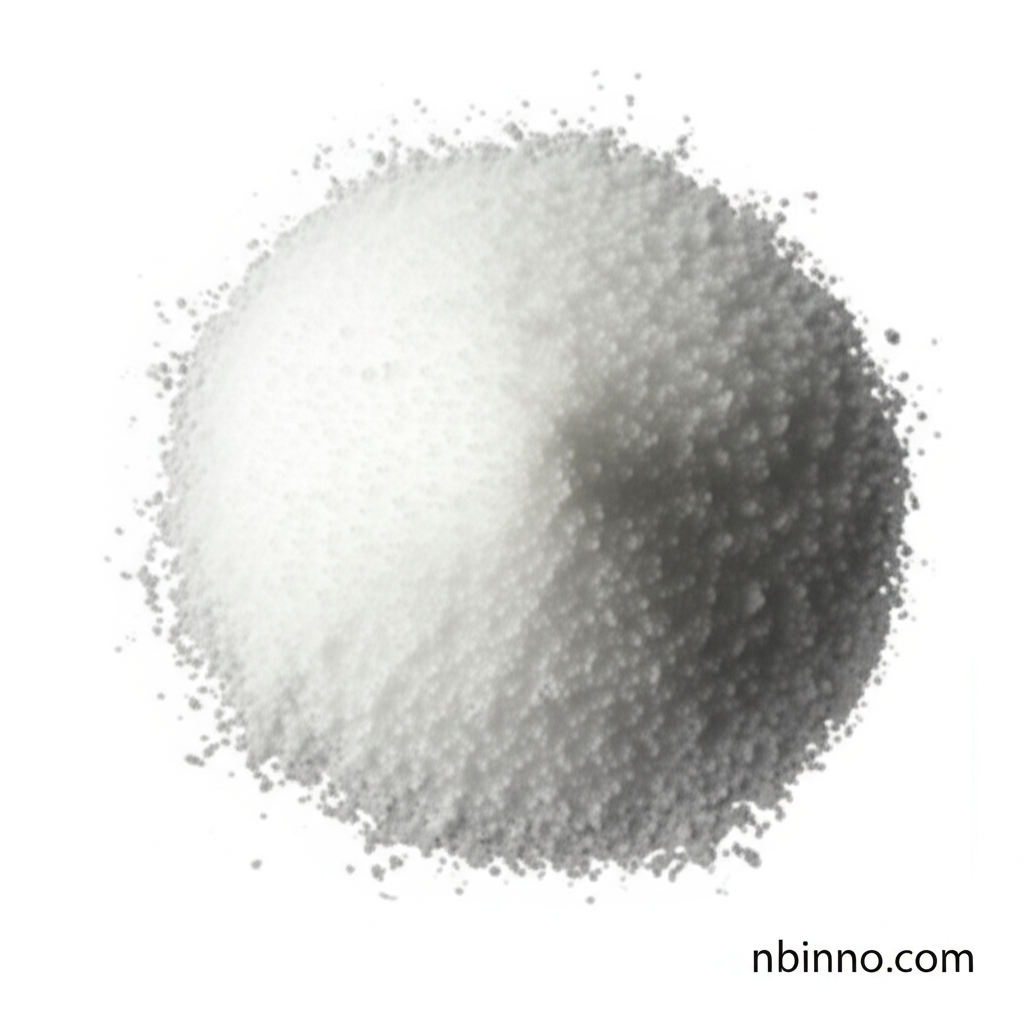 O-Acetyl-N-tert-butylhydroxylamine Hydrochloride