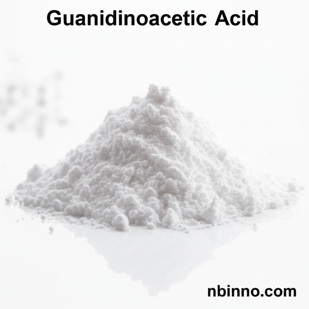 Guanidinoacetic Acid