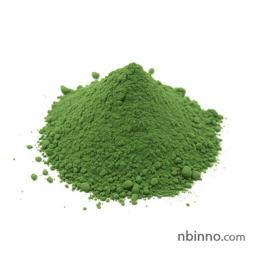 Clinoptilolite Zeolite Powder
