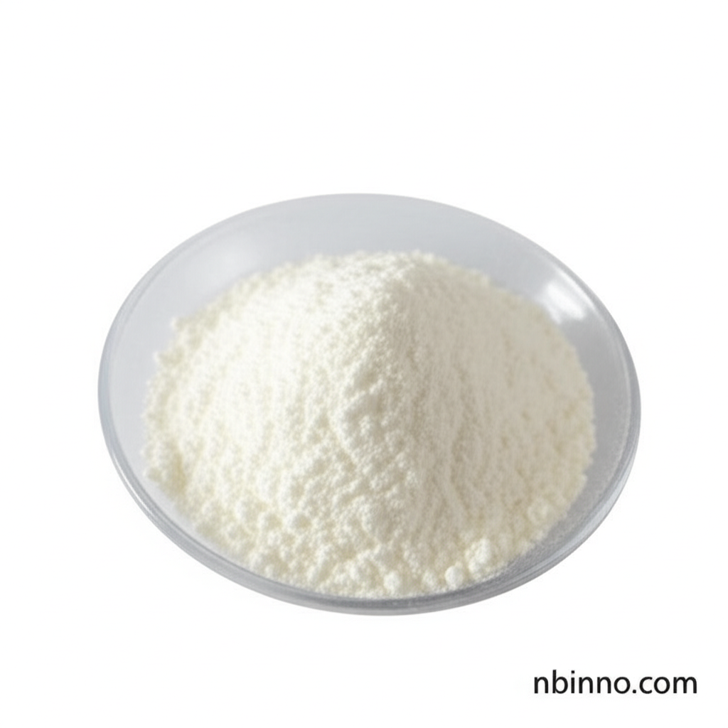 Chitosan Powder