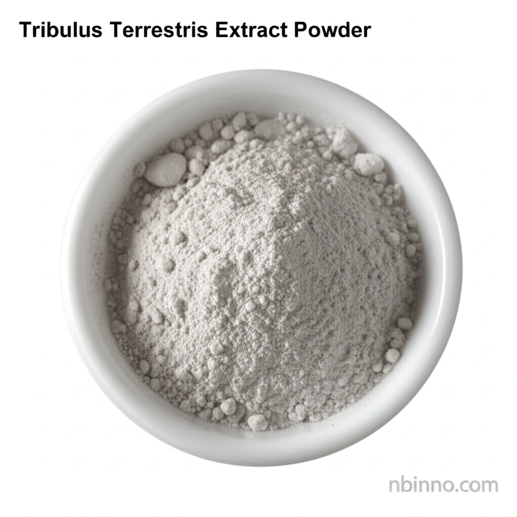 Tribulus Terrestris Extract Powder