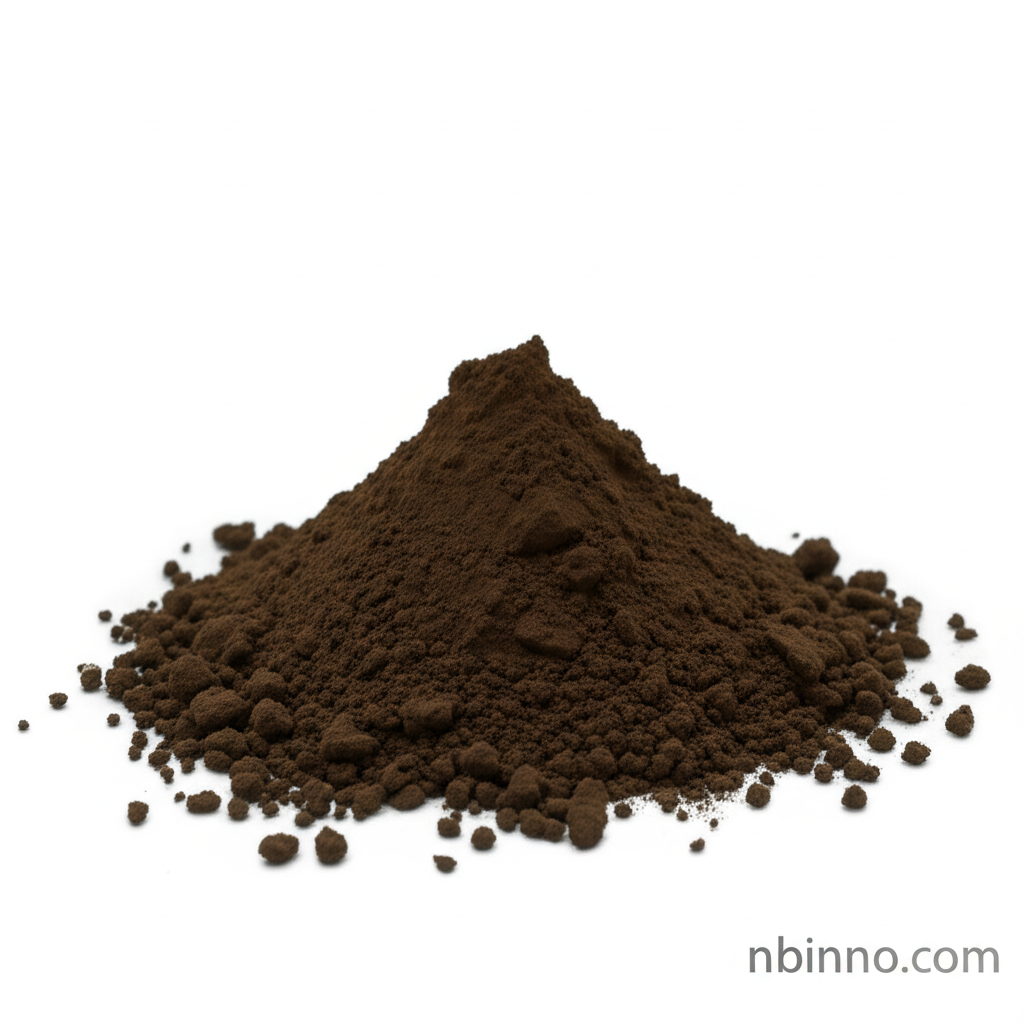 Shilajit Powder