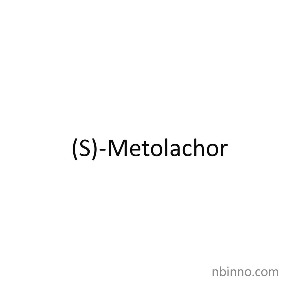 (S)-Metolachlor