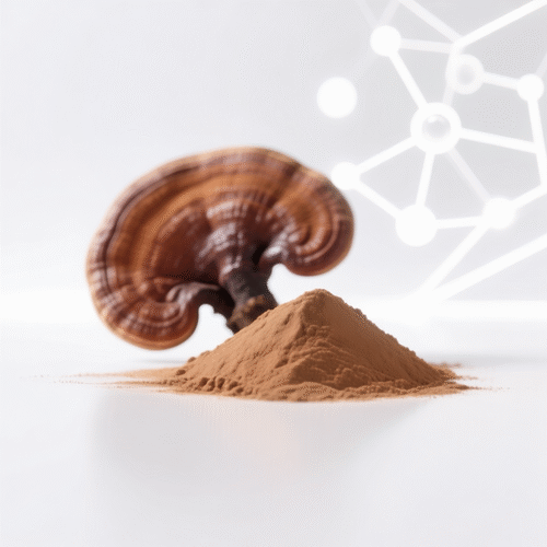 Ganoderma Extract